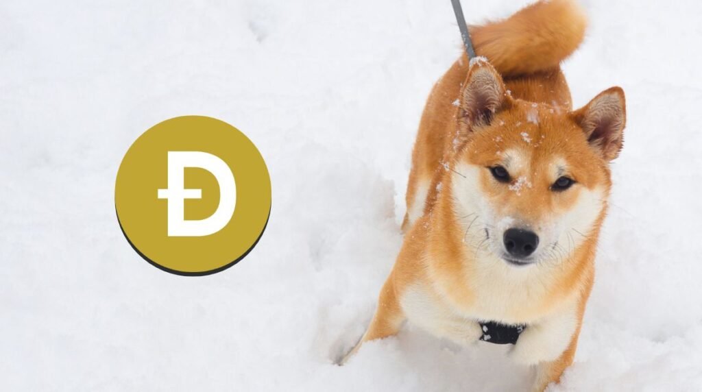 Dogecoin explainer